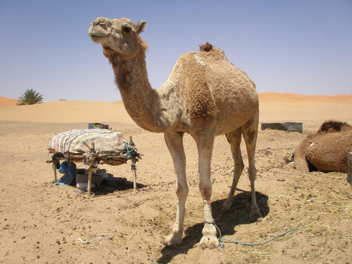 Gite Tamlli Aoufous エクステリア 写真